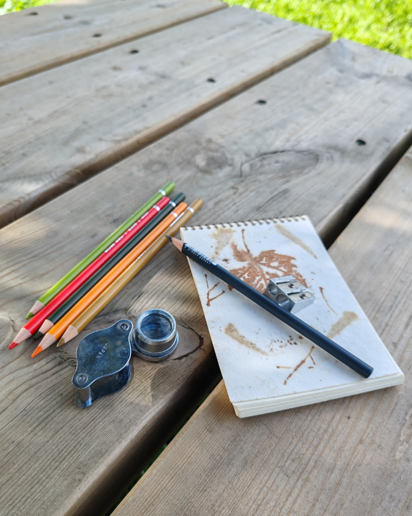 Diario o Cuaderno de Naturaleza (Nature Journaling). Qué es, Materiales, Beneficios, Cómo hacer, Consideraciones ....